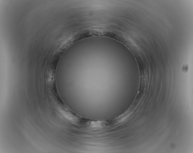 X0000091640134200709060946