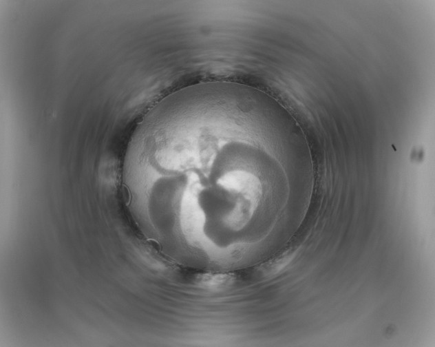 X0000091640135200709060946