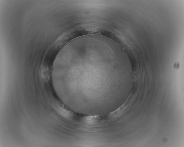 X0000091640136200709060946