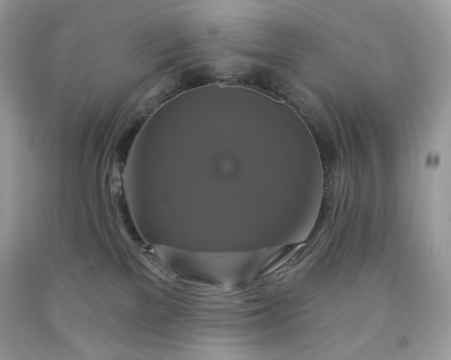 X0000091640137200709060946