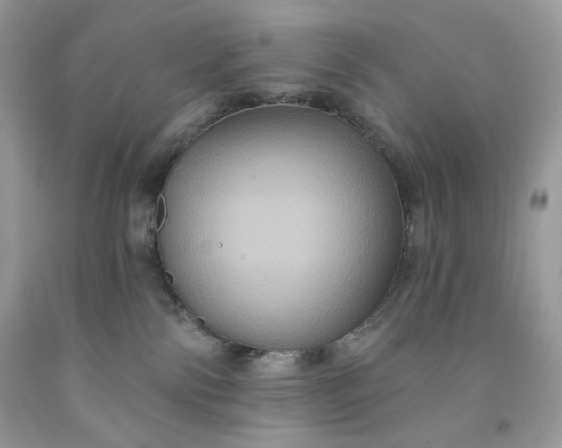 X0000091640138200709060946