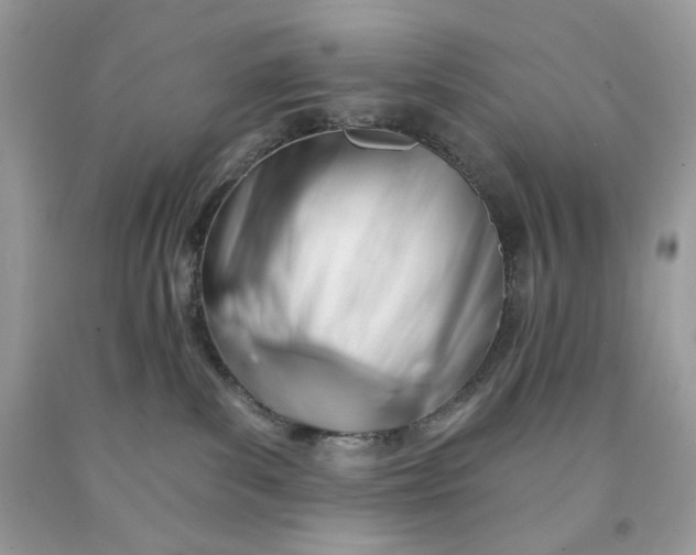 X0000091640139200709060946