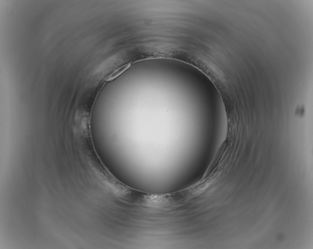 X0000091640141200709060945