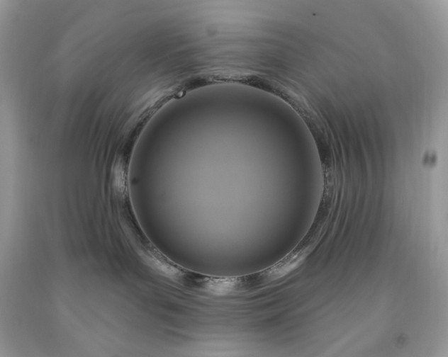 X0000091640143200709060945
