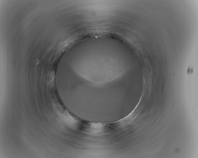 X0000091640144200709060945