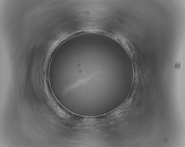 X0000091640145200709060945
