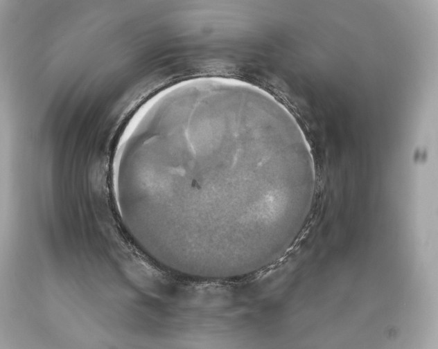 X0000091640146200709060945