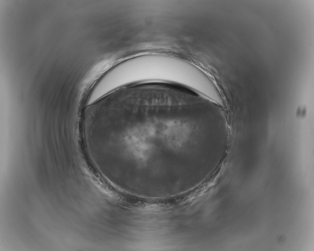 X0000091640149200709060945