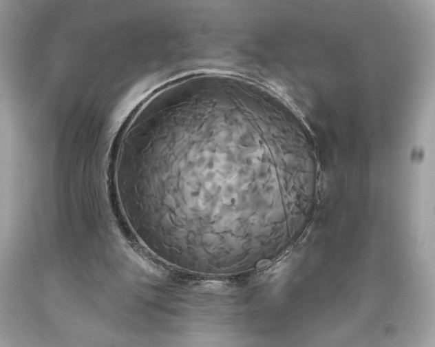 X0000091640151200709060945