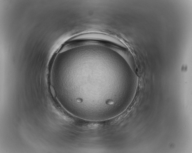 X0000091640152200709060945