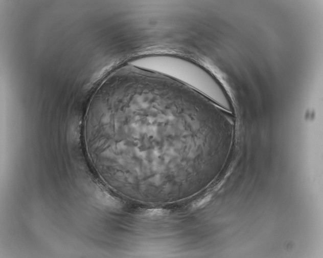 X0000091640153200709060945
