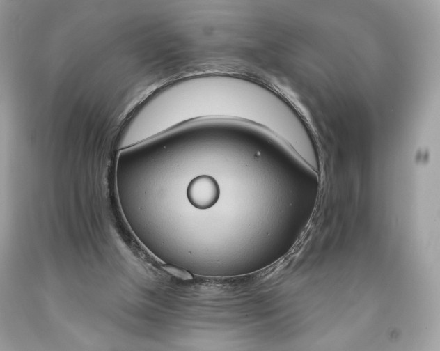 X0000091640154200709060945