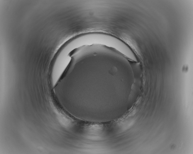 X0000091640156200709060945