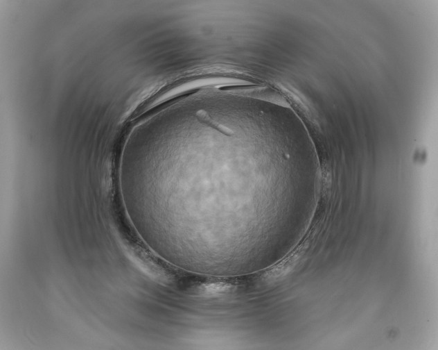 X0000091640158200709060945