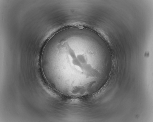 X0000091640159200709060945
