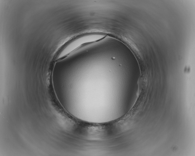 X0000091640160200709060945