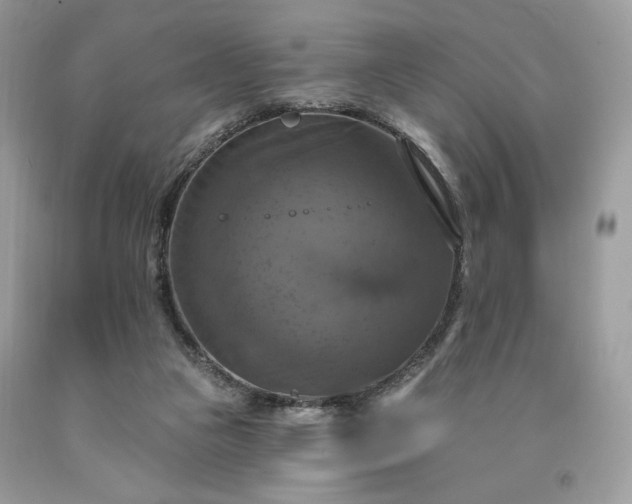 X0000091640161200709060945