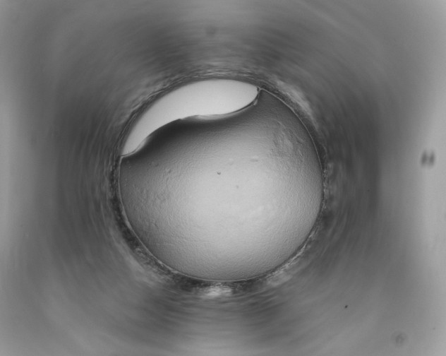 X0000091640162200709060945