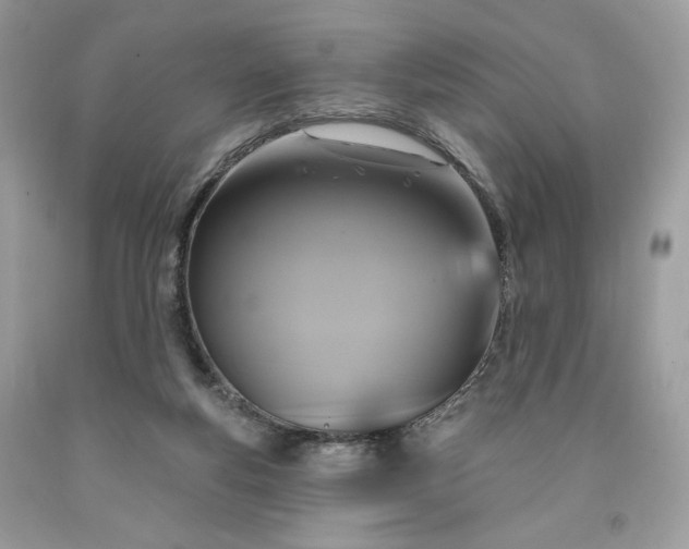 X0000091640163200709060945
