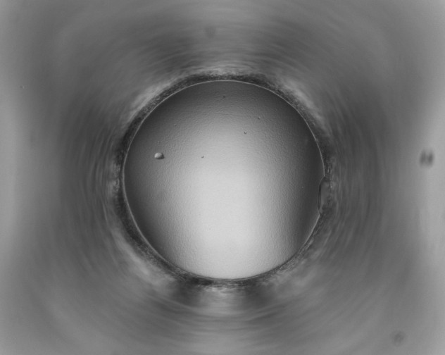 X0000091640164200709060945