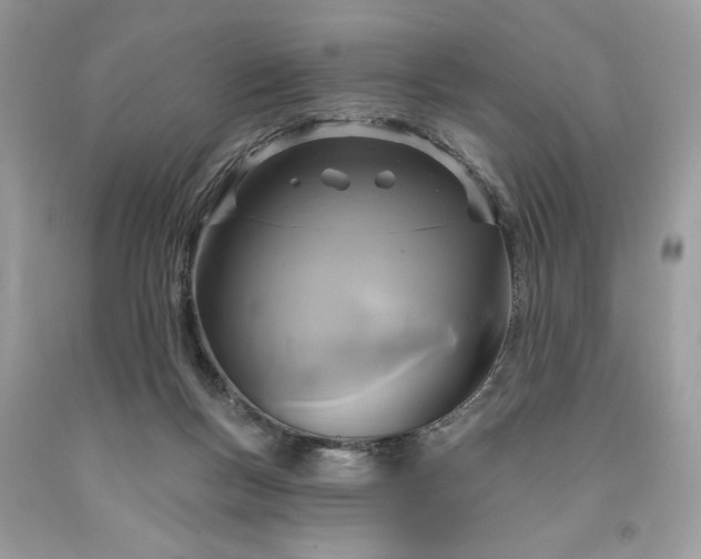 X0000091640167200709060945