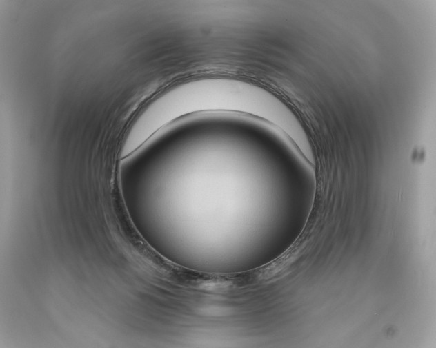 X0000091640168200709060945