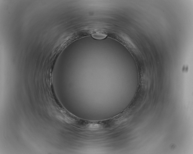 X0000091640169200709060945