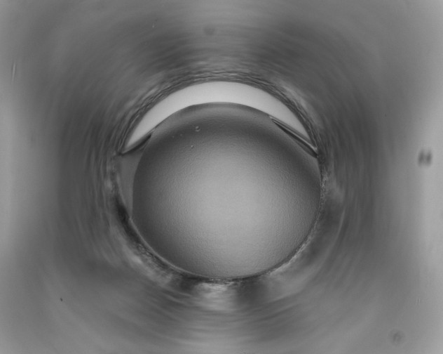 X0000091640170200709060945