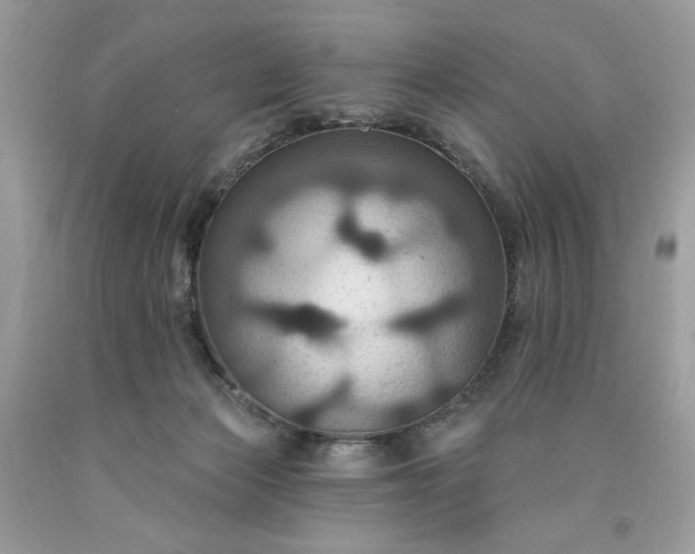 X0000091640173200709060945