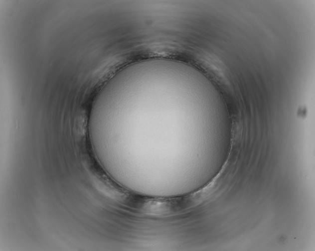 X0000091640174200709060945