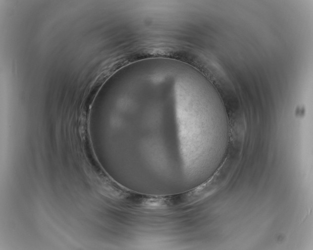 X0000091640175200709060945