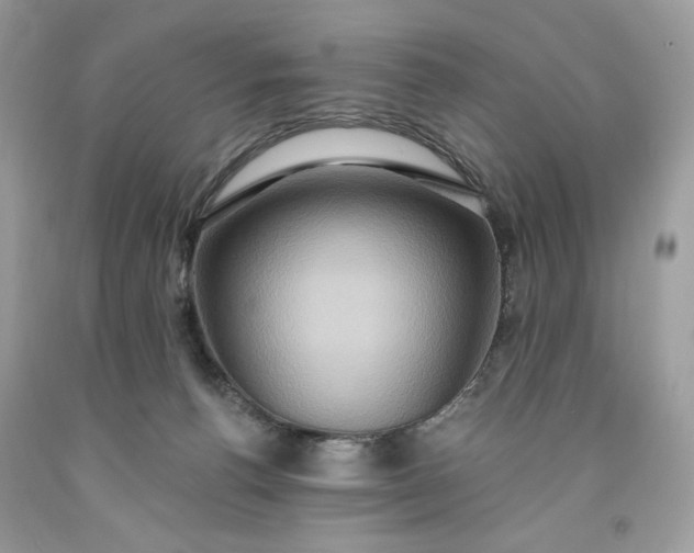 X0000091640176200709060945