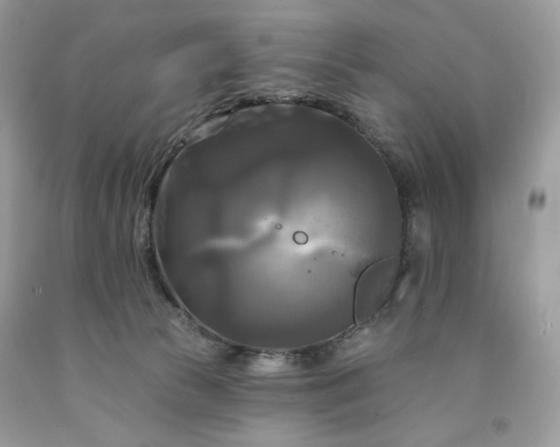 X0000091640177200709060945
