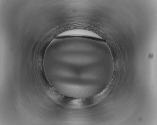 X0000091640178200709060945