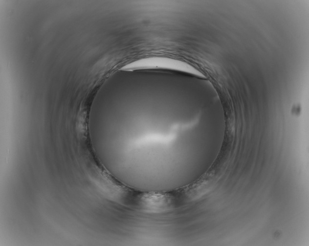 X0000091640181200709060945