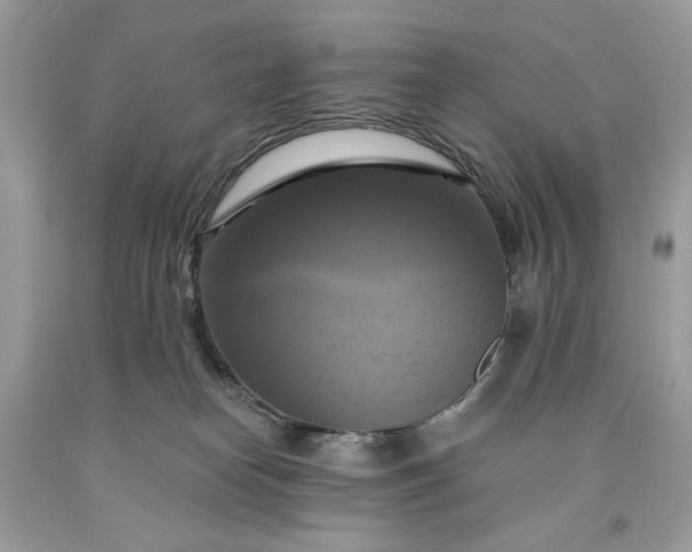 X0000091640182200709060945