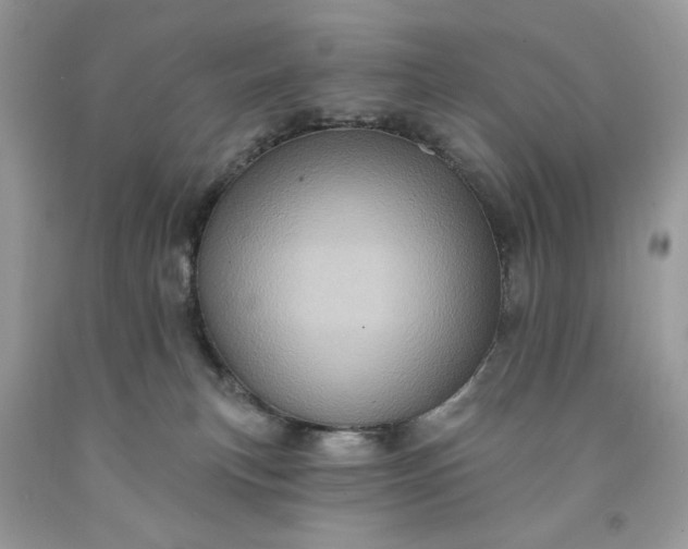 X0000091640183200709060945