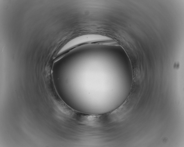 X0000091640184200709060945