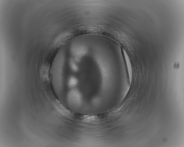 X0000091640185200709060945