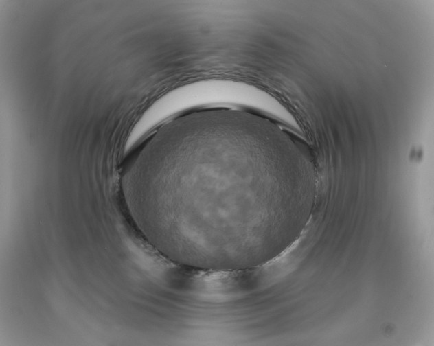 X0000091640186200709060945