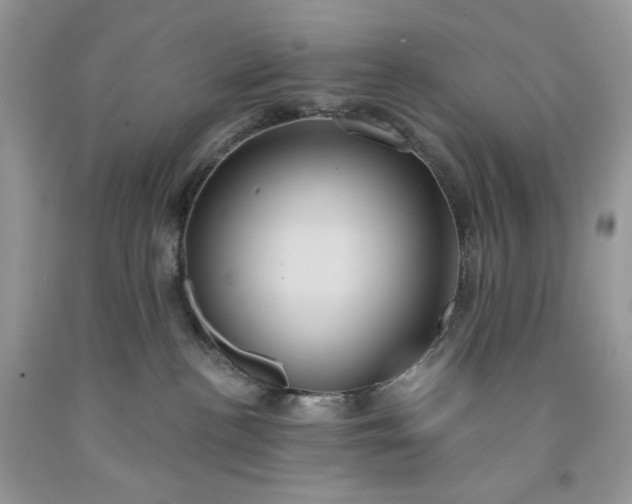 X0000091640188200709060945