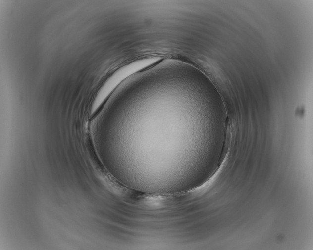 X0000091640190200709060945