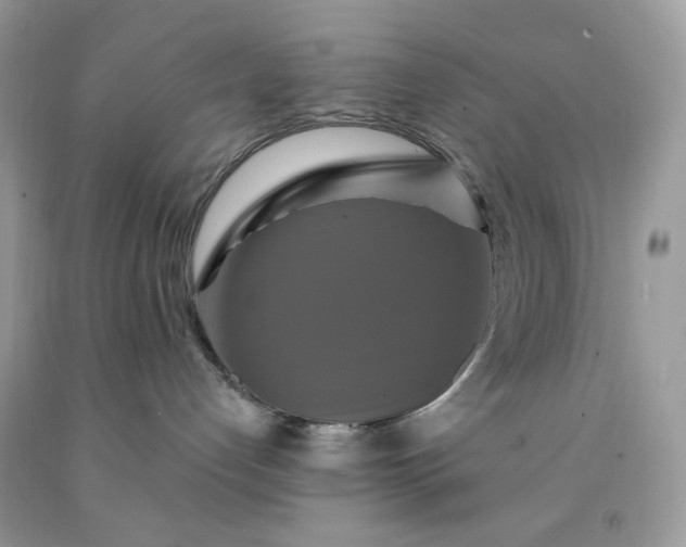 X0000091640192200709060945