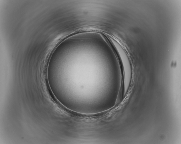 X0000091640193200709060945