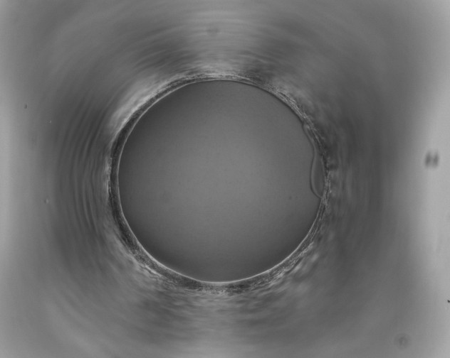 X0000091640194200709060945