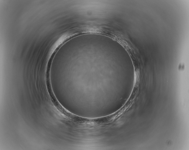 X0000091640195200709060945