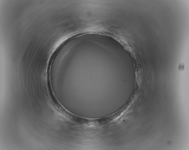 X0000091640196200709060945