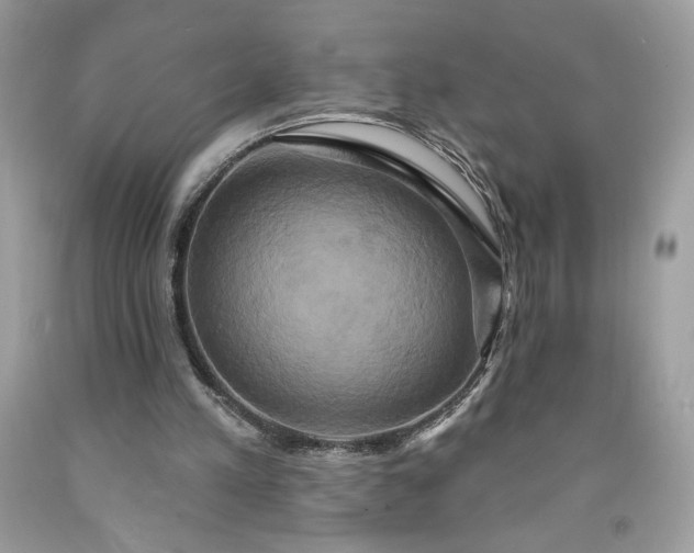 X0000091640197200709060945