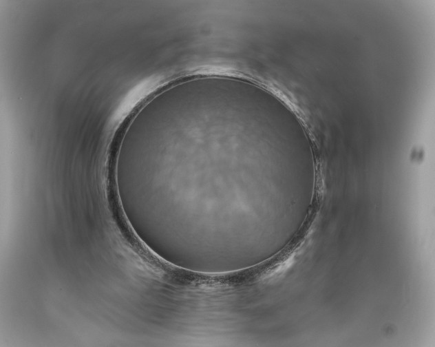 X0000091640199200709060945