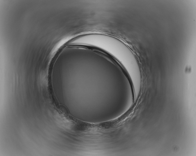 X0000091640200200709060945